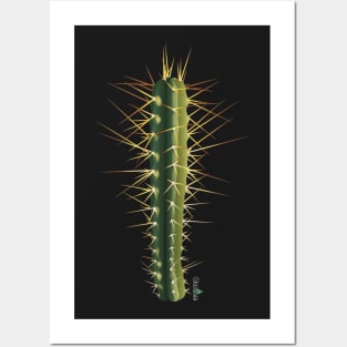 Trichocereus Bridgesii Posters and Art